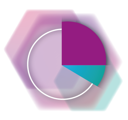 Icon Tortendiagramm