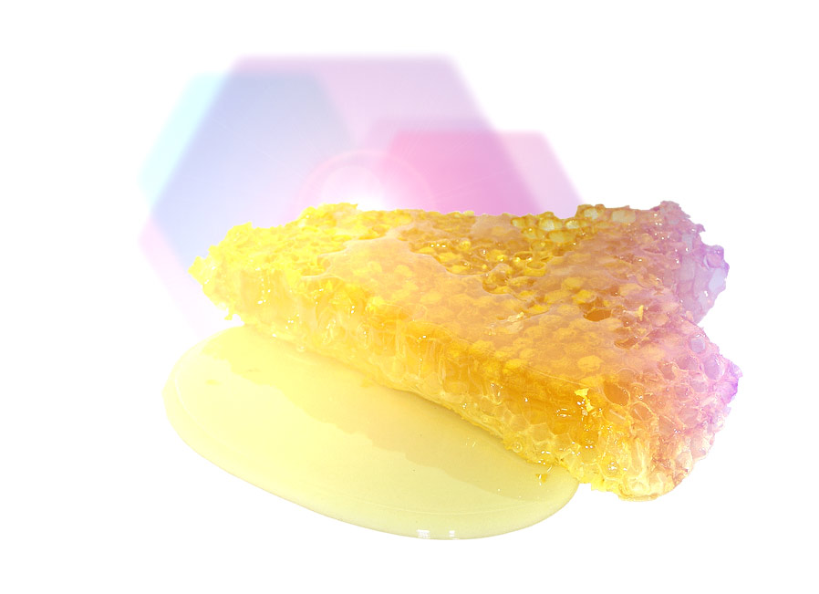 Foto Bienenwachs Waben