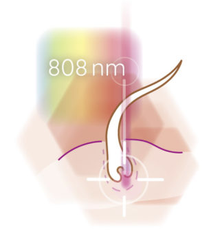 graphic wave length 808nm