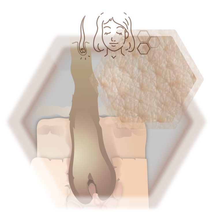 Grafik Fotokollage haut und Haarbeschaffenheit