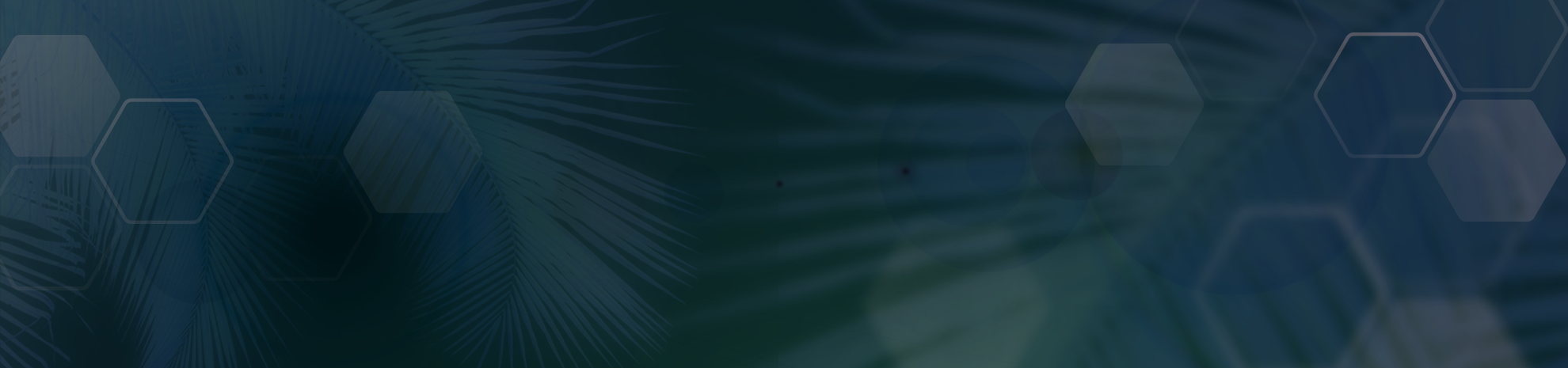 dunkler Hintergrund mit Palmwedel