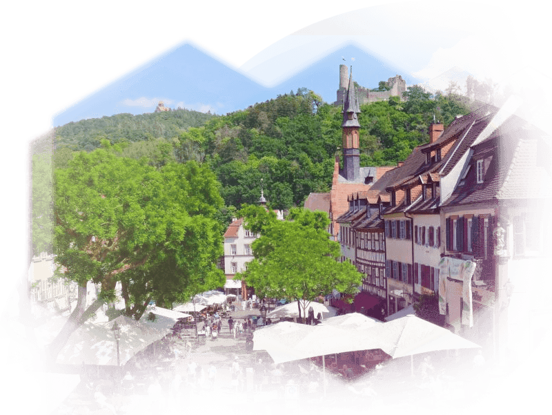 Bild der Weinheimer Altstadt