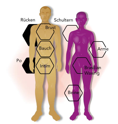 Illustration Körperregionen Enthaarung Waxing Sugaring