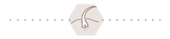 seperation line hair icon