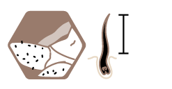 Icon before treatment