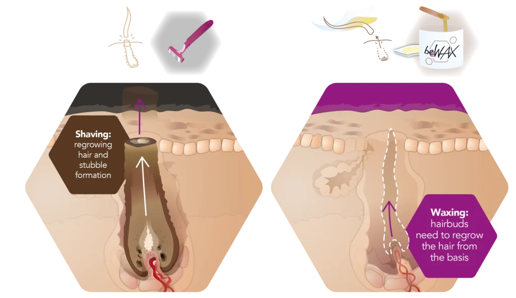 infographic comparison shaving waxing