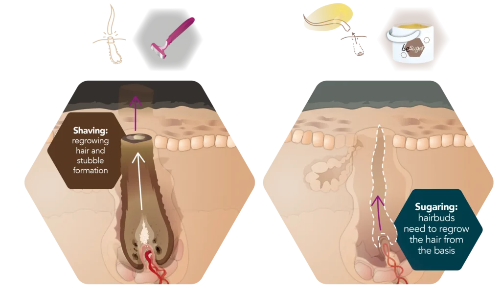 infographic comparison shaving sugaring